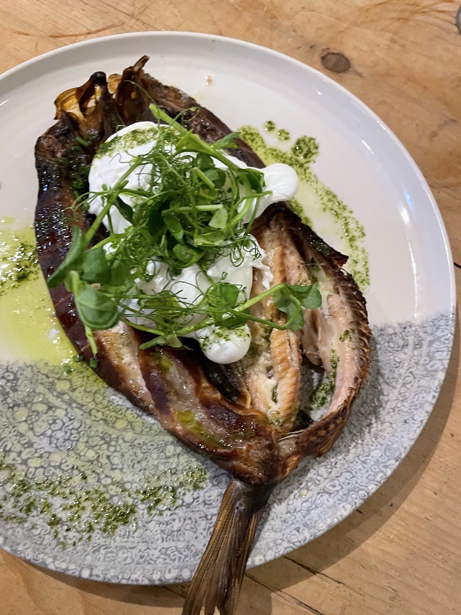 Shell House Kitchen Photos 2